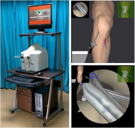 vKASS: A Surgical Procedure Simulation System for Arthroscopic Anterior Cruciate